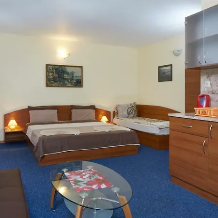 Plechkarovi رافدا