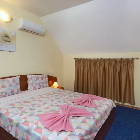 بيت ضيافة Plechkarovi 3*