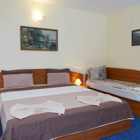 Plechkarovi بيت ضيافة