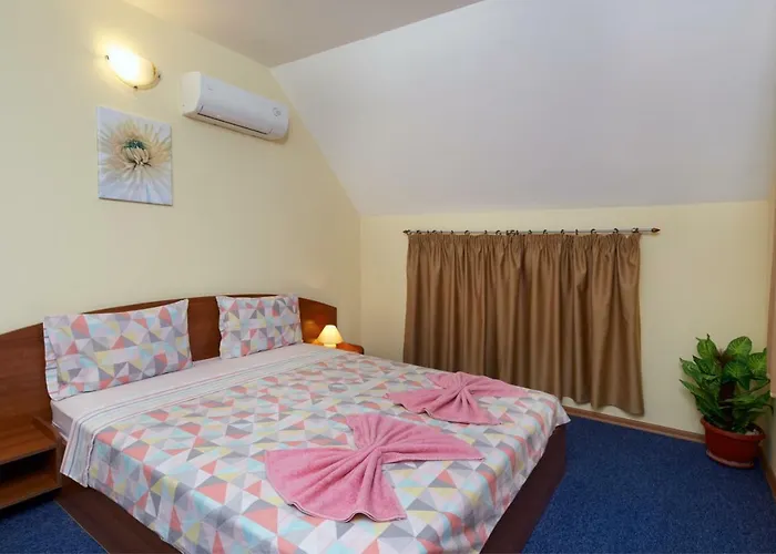 Къща за гости Plechkarovi 3*