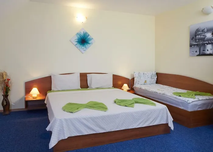 Plechkarovi Къща за гости 3*