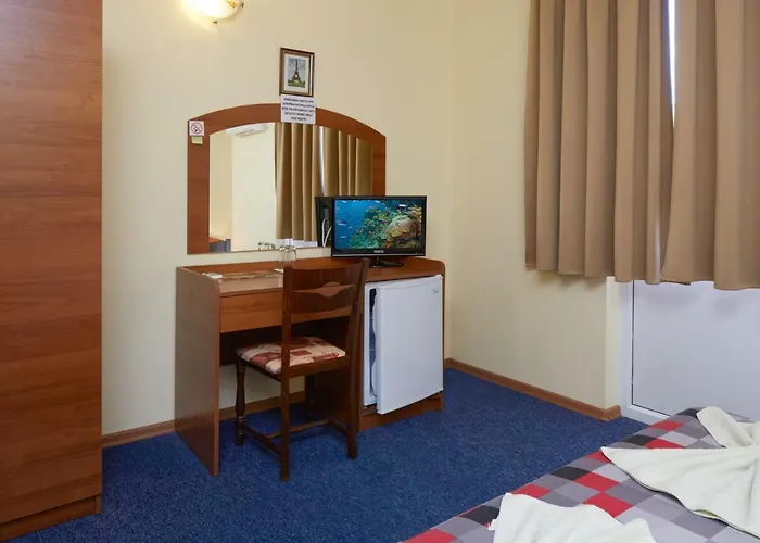 Къща за гости Plechkarovi