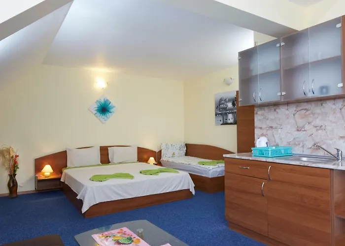 Pensjonat Plechkarovi